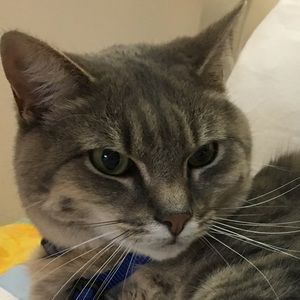 Meet your Posher, Amy